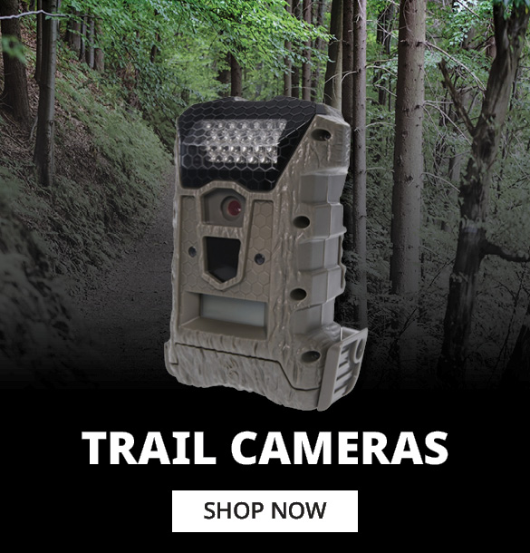 Trail Cameras